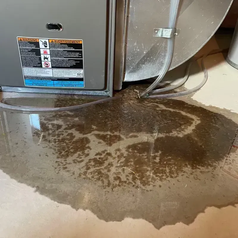 Appliance Leak Cleanup in Chippewa County, MI